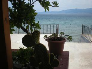 dscn3093.jpg